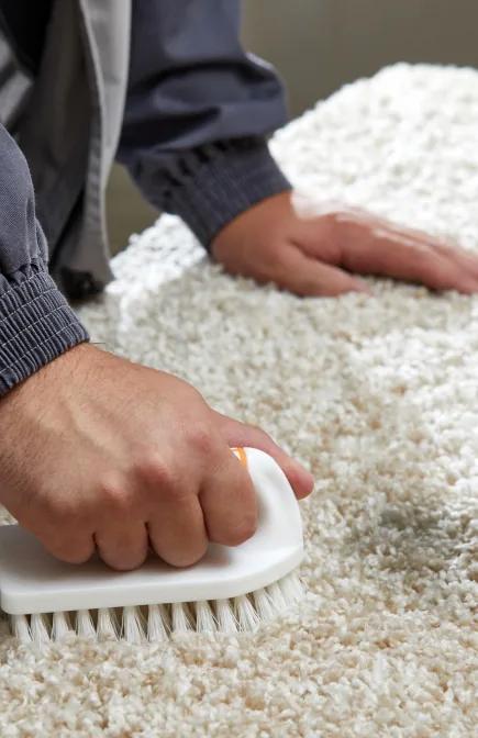 Close-up of a cleaner scrubbing a cream carpet with a hand brush